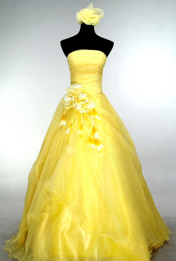 087ee16bf6_20128456_o2.jpg
